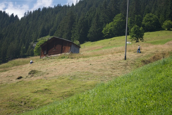 Managed landscape in Gimmelwald, Switzerland