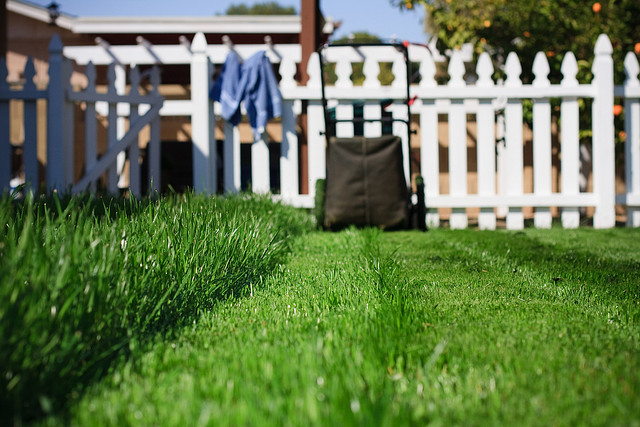 A lawn being mowed